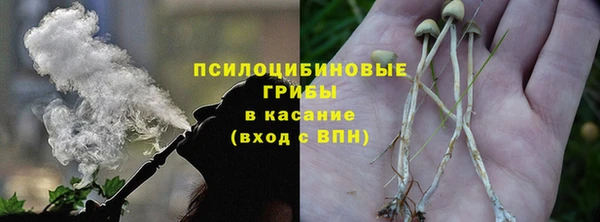 MDMA Бородино