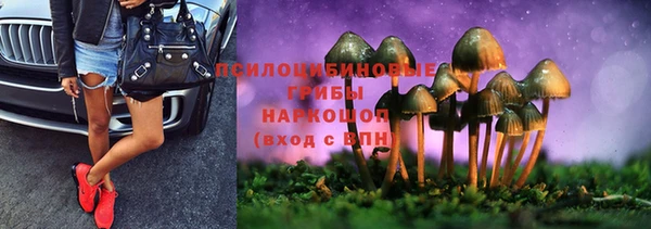 экстази Богородск