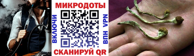 где продают Балей МЕГА зеркало Галлюциногенные грибы Psilocybine cubensis